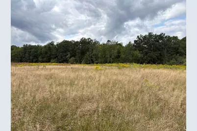 Flarity Road, Brethren, MI 49619 - Photo 6