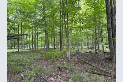 Flarity Road, Brethren, MI 49619 - Photo 10