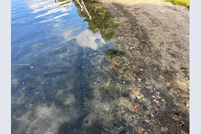 10494 Tomkinson Drive, Scotts, MI 49088 - Photo 42