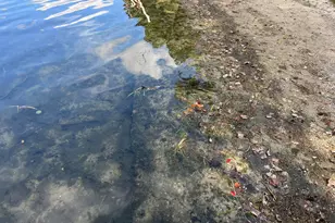 10494 Tomkinson Dr, Scotts, MI 49088 - Photo 42