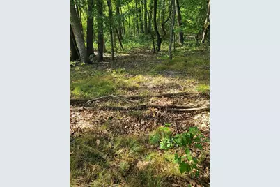 0 US 12 W, Buchanan, MI 49107 - Photo 14