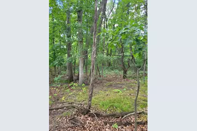 0 US 12 W, Buchanan, MI 49107 - Photo 10