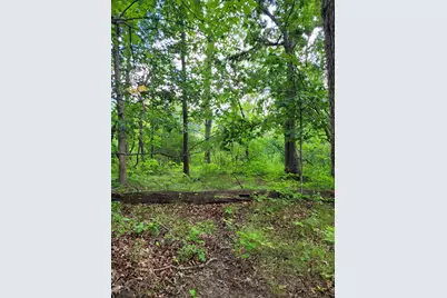 0 US 12 W, Buchanan, MI 49107 - Photo 8