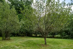 4751 Harlan Dr, Watervliet, MI 49098 - Photo 38