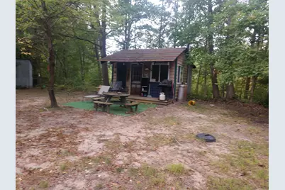 8653 E Remus Road, Mount Pleasant, MI 48858 - Photo 6