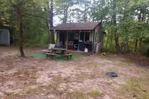 8653 E Remus Rd, Mount Pleasant, MI 48858 - Photo 6