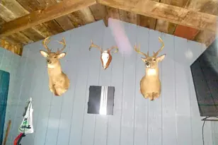 8653 E Remus Rd, Mount Pleasant, MI 48858 - Photo 8