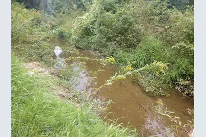 8653 E Remus Road, Mount Pleasant, MI 48858 - Photo 16