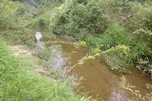 8653 E Remus Rd, Mount Pleasant, MI 48858 - Photo 16