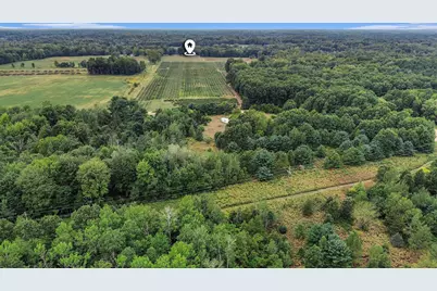 305 55th Street, Grand Junction, MI 49056 - Photo 12