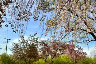 18315 Cavanaugh Lake Rd, Chelsea, MI 48118 - Photo 6