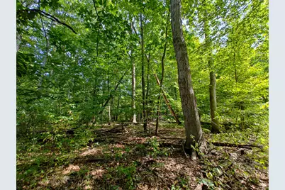 Vl 80th Avenue, Zeeland, MI 49464 - Photo 4