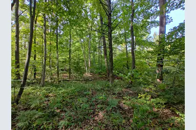 Vl 80th Avenue, Zeeland, MI 49464 - Photo 2