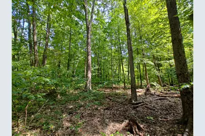 Vl 80th Avenue, Zeeland, MI 49464 - Photo 12