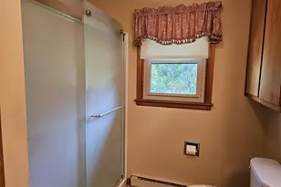 4872 Lester Ave, Fremont, MI 49412 - Photo 24