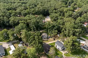 8286 W Pine Grove Beach Dr, Baldwin, MI 49304 - Photo 54