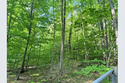 Vl 3 Mile Road, Luther, MI 49656 - Photo 2