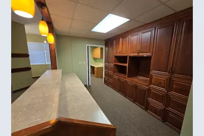 115 W Upton Avenue, Reed City, MI 49677 - Photo 6