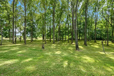 58480 Kirk Lake Road, Vandalia, MI 49095 - Photo 4