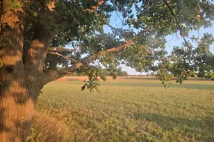 769 Kosmerick Rd, Bronson, MI 49028 - Photo 68