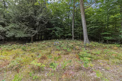 Lot 16 Pine Street, Mears, MI 49436 - Photo 6