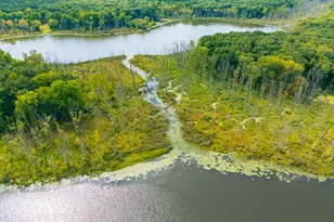 47727 W Baseline Rd, Grand Junction, MI 49056 - Photo 44