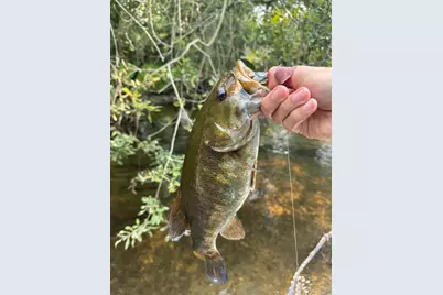 3944 S Brenlor Drive, Hesperia, MI 49421 - Photo 68