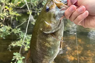 3944 S Brenlor Dr, Hesperia, MI 49421 - Photo 68