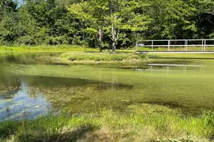 7767 Warren Woods Rd, Three Oaks, MI 49128 - Photo 8