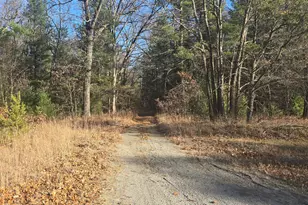 W Cedar Rd, Twin Lake, MI 49457 - Photo 1