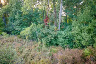 5820 Squires Rd, Jackson, MI 49201 - Photo 28