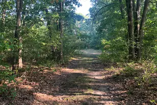 711 Division St, Eastlake, MI 49626 - Photo 48