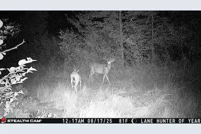 1231 Manor Road, Au Gres, MI 48703 - Photo 62