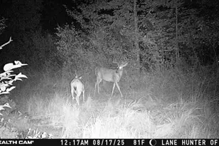 1231 Manor Rd, Au Gres, MI 48703 - Photo 62