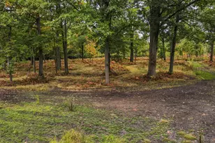 1231 Manor Rd, Au Gres, MI 48703 - Photo 10