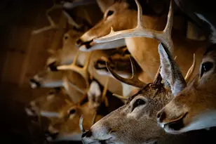 1231 Manor Rd, Au Gres, MI 48703 - Photo 8