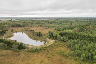 1231 Manor Rd, Au Gres, MI 48703 - Photo 2