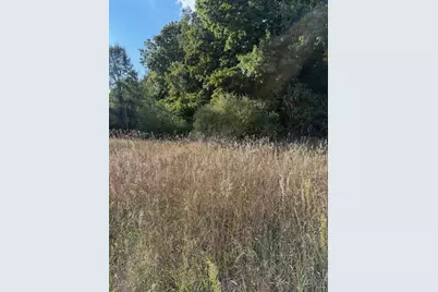 V/L Industrial Park Drive, Greenville, MI 48838 - Photo 2