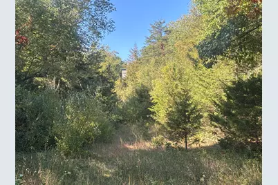 1170 Somers Road, Lyons, MI 48851 - Photo 50