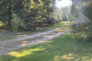 1170 Somers Rd, Lyons, MI 48851 - Photo 60