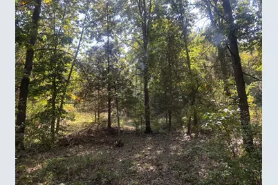 1170 Somers Road, Lyons, MI 48851 - Photo 52