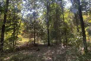 1170 Somers Rd, Lyons, MI 48851 - Photo 52