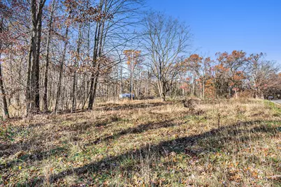 V/L Cedar Lake, Marshall, MI 49068 - Photo 6