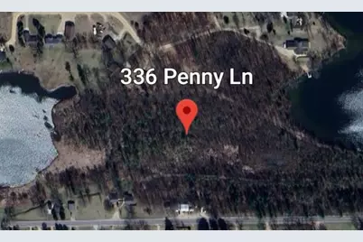 336 Penny Lane, Stanton, MI 48888 - Photo 12