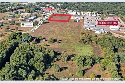 23440 E McGillen Avenue #Parcel A, Mattawan, MI 49071 - Photo 2