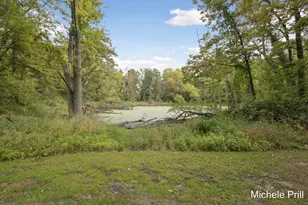 9877 Brumm River Dr, Nashville, MI 49073 - Photo 16