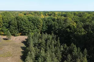 2222 101st Ave, Otsego, MI 49078 - Photo 26