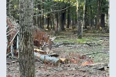 9283 Willow Road, Bitely, MI 49309 - Photo 30