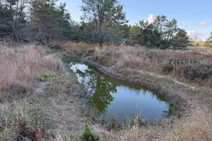 9283 Willow Rd, Bitely, MI 49309 - Photo 44