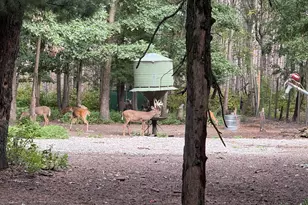 9283 Willow Rd, Bitely, MI 49309 - Photo 26